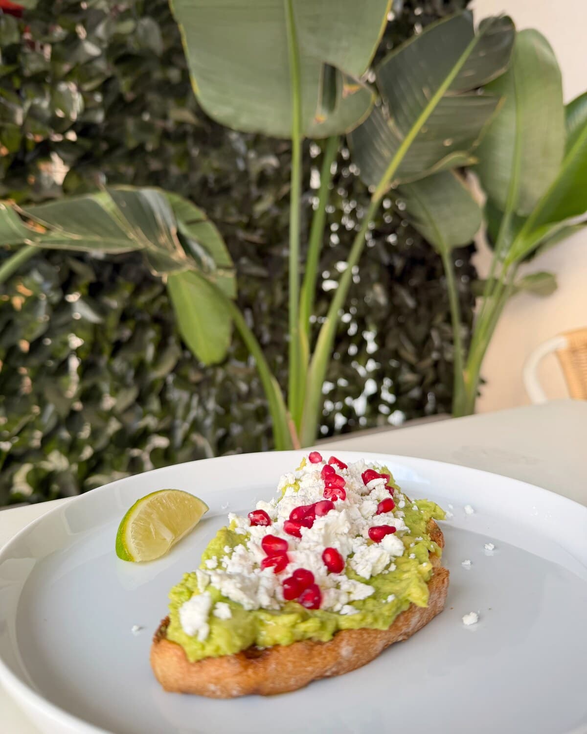 Avocado Feta: 1/2 aguacate machacado, queso feta, granada y un toque de lima