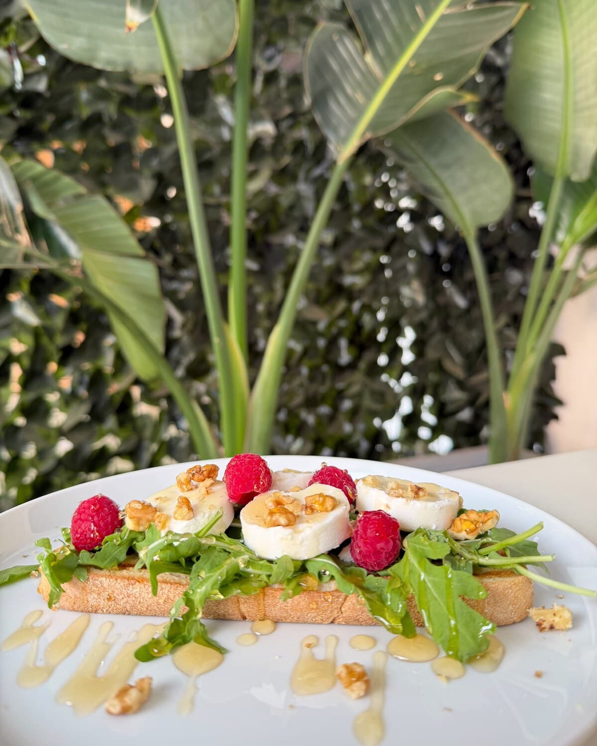 Berry Goat: Rúcula, queso de cabra, frambuesas, nueces troceadas y miel