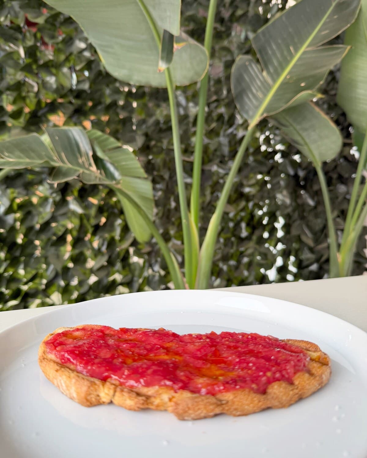 Mediterránea: Tomate rallado y AOVE