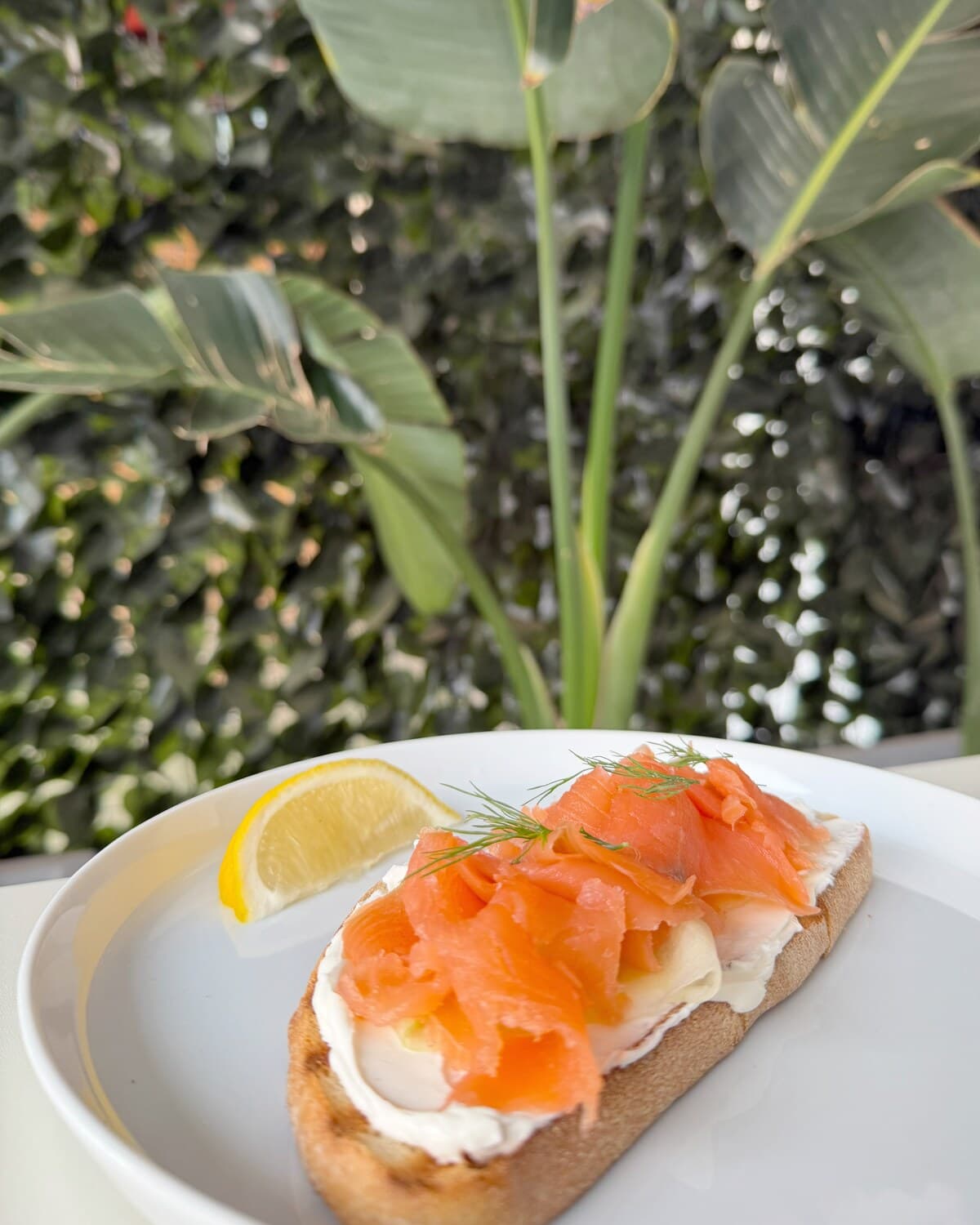 Nórdica: Queso crema, salmón ahumado, pepino, eneldo y un toque de limón
