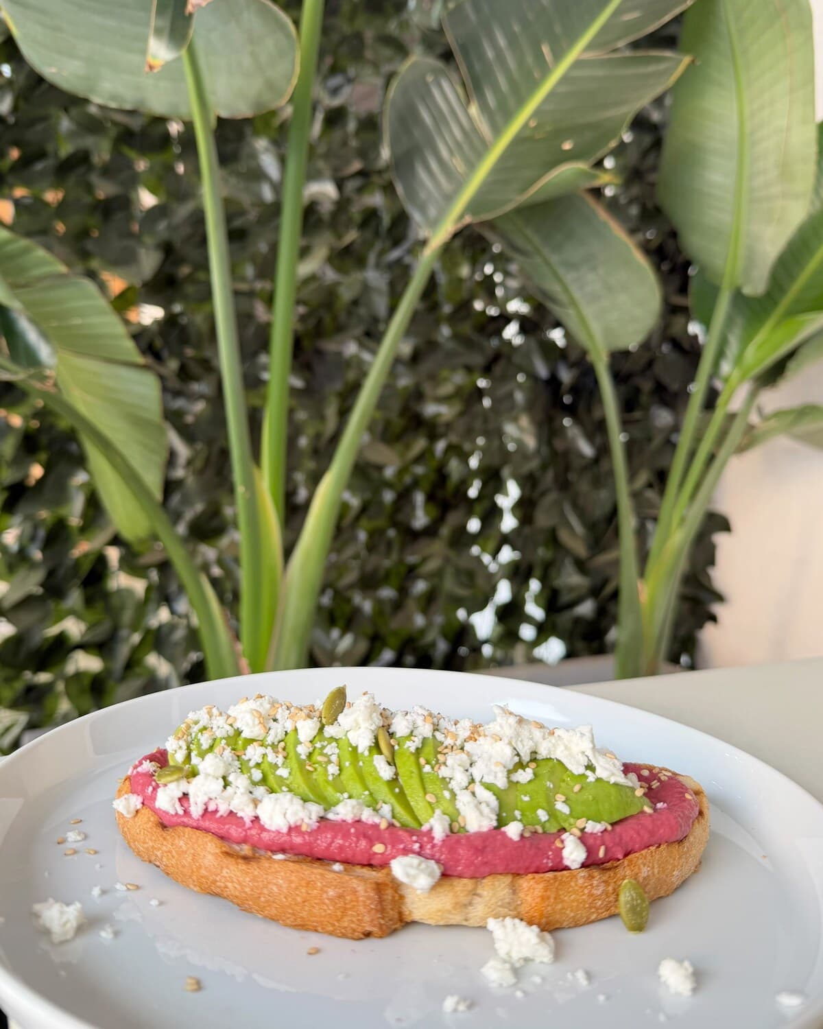 Pink Velvet: Hummus de remolacha casero, 1/2 aguacate, queso feta, semillas de sésamo y girasol