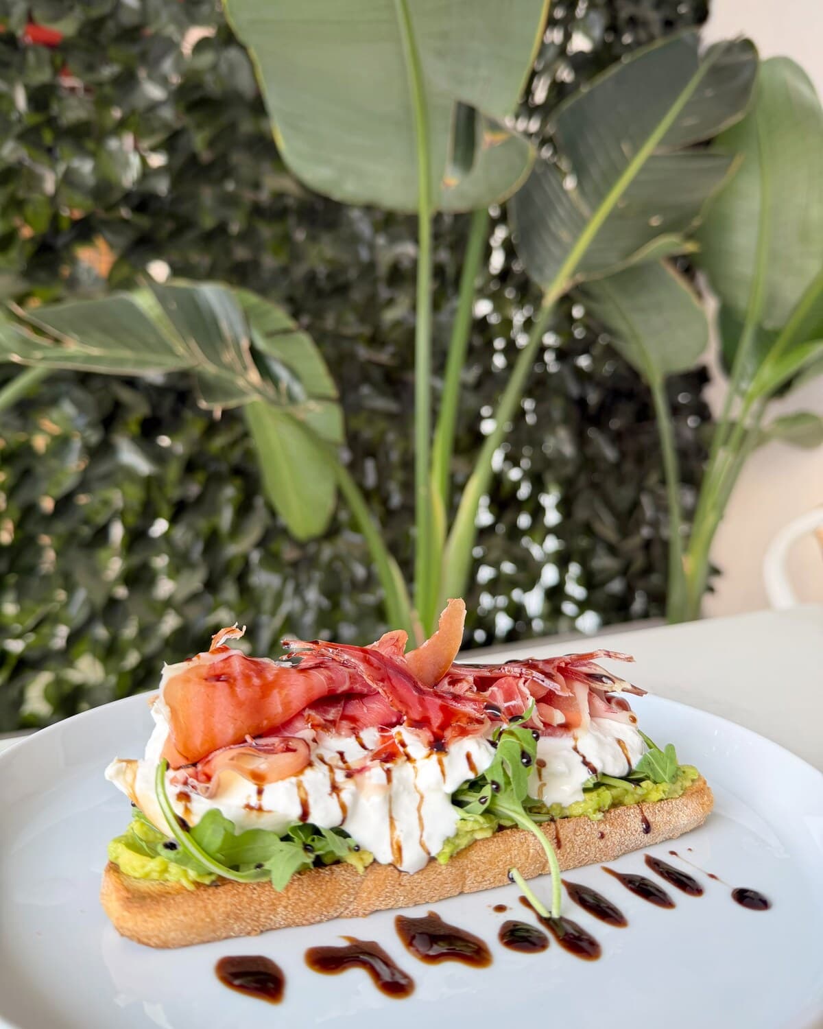 Toscana: Pulpa de aguacate, rúcula, burrata entera, jamón serrano y reducción balsámica